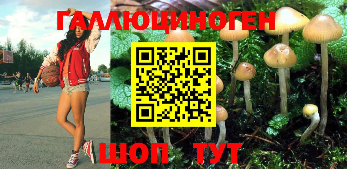 Новокуйбышевск  Галлюциногенные грибы MAGIC MUSHROOMS  Псилоцибиновые грибы GOLDEN TEACHER  Вход с VPN 