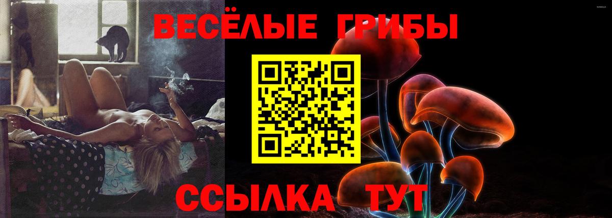 Псилоцибиновые грибы Psilocybine cubensis Новокуйбышевск